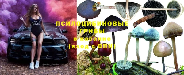 стаф Куйбышев