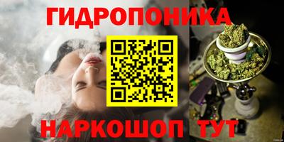 амф Славгород