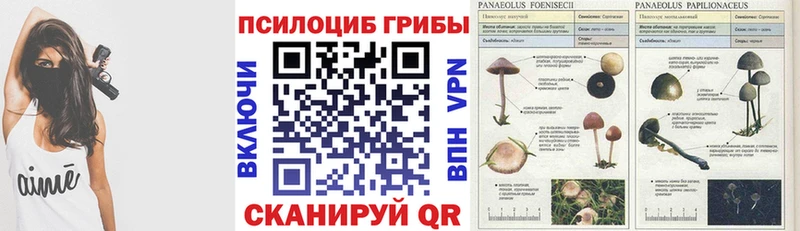Псилоцибиновые грибы Psilocybine cubensis  где купить наркотик  МЕГА   Южно-Сахалинск 