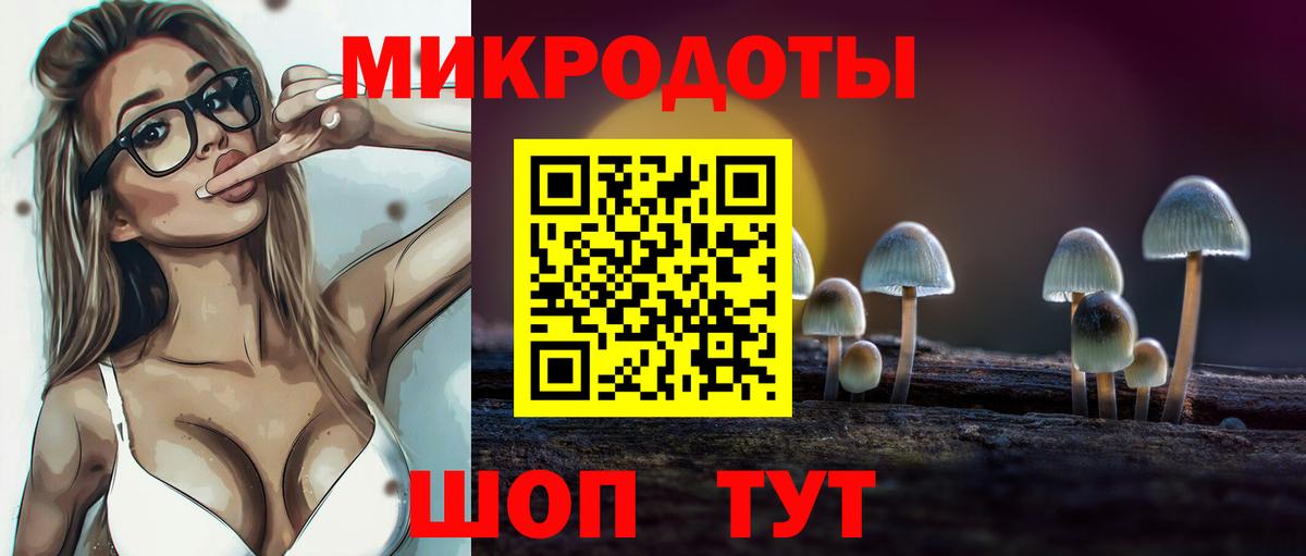 Южно-Сахалинск  Галлюциногенные грибы Psilocybine cubensis  Вход с VPN  Галлюциногенные грибы Psilocybe 